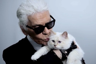 29-karl-lagerfeld-choupette-vid