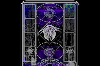 Cryptid by Joey Holder4