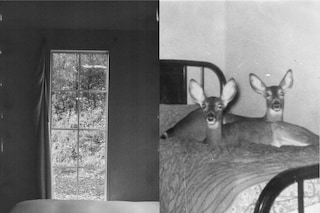 BEDS I&#39;VE SLEPT IN ZINE