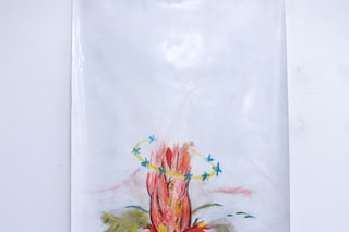IMG_0152