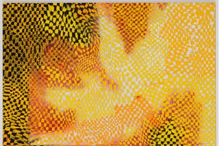 Harmony Korine at the Gagosian