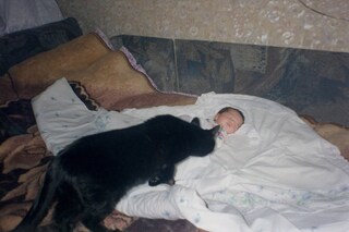Nika Sandler, My Nonhuman Friends 