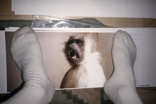 Slava Mogutin “Sock Monkey”