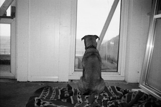 Kingsley Ifill’s studio, photographed by Alice Dellal