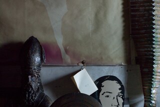 Danh V&#244; and Archivio Carol Rama, Turin