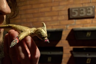 Competitive Joint Rolling