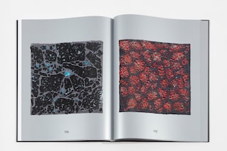 Alteronce Gumby, Colour Is a Beautiful Thing (2021)