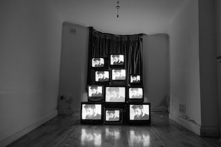 Brassica-For-Civil-Music-By-Dan-Wilton-1