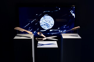 How happy a Thing can be, 2014, sculpture; install