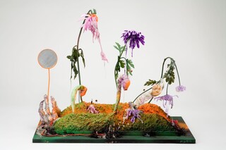 kudo_pollution-cultivation-new-ecology_1971-721