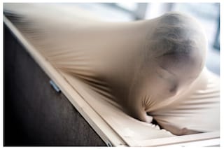 Martha Mosse, The Slut, the Spinster and the Perfect Woman