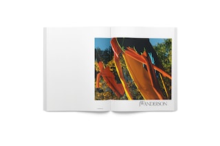 J.W.Anderson SS17 campaign Chlo&#235; Sevigny Jamie Hawkesworth