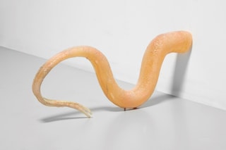 Olivia Erlanger, “Ophidio (Flesh)”, (2020)