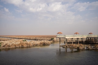 Laure Playoust photographer