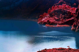 Richard Mosse_ Lac Vert_Courtesy Edel Assanti and 