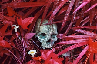 Richard Mosse_Of Lilies and Remains_Courtesy Edel 