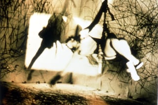 Carolee Schneemann, Up To And Including Her Limits