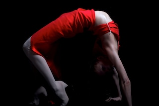Thomas Tait Dazed 100
