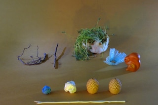 Thalia Raftopoulou, desktop series, Dazed