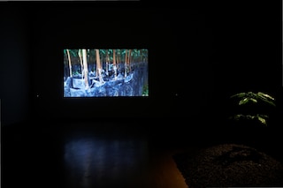 Rachel Pimm Converse Emerging Artists Award, Dazed