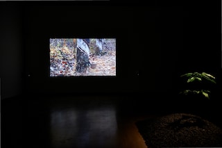 Rachel Pimm Converse Emerging Artists Award, Dazed