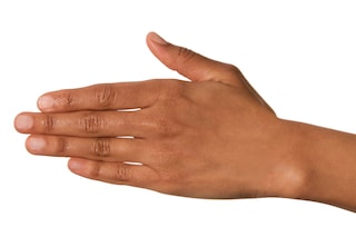 human-hand
