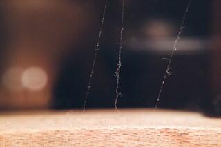 Sarah Snashall and Delicacy