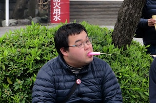 Japanese Penis Festival