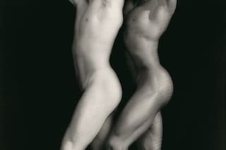 mapplethorpe look at the pcitures dogwoof document