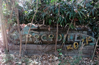 Crocodile Pit