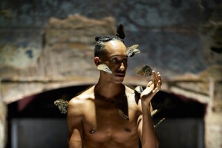 Miles Greenberg, LEPIDOPTEROPHOBIA (2020)