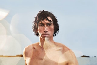 adam driver burberry hero