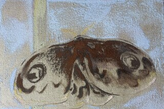 Djabril Boukhenaïss_Phalene n.1_peinture