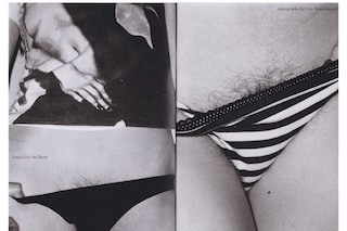 Zine Round-Up (2025)