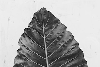 1657719271111-homecoming-gallerykojo-animsole-lami