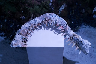 Inorganic Synergy 10