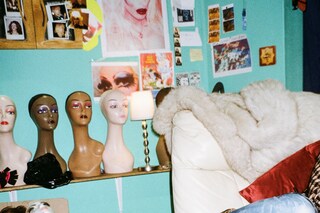 LUV SHANNON X, Joseph Wilson