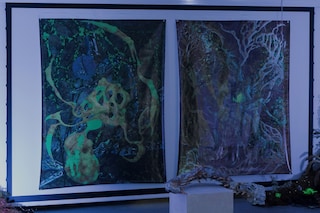 Inorganic Synergy 5