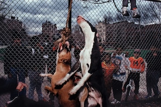 Joseph Rodriguez’s Spanish Harlem