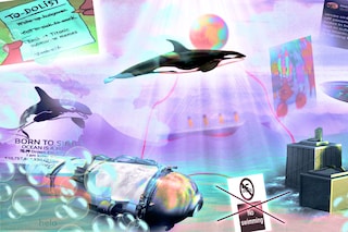 Orcas and submarine billionaires