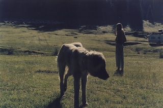  Clutching at Ornaments