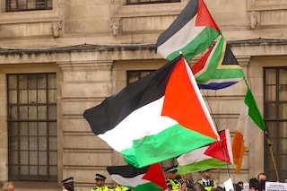 Palestine Action 7