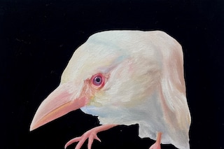 Ada Bond, “Grief Thief” (2021)
