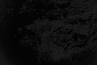 Sakiko Nomura, “Another Black Darkness #8’ (2009)