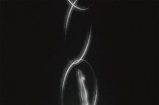 Denisa Rahma Spotlight