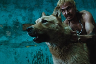 &#169; Alta Vista Films, from Amores Perros (MACK, 2025