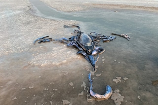 Yein Lee at Final Hot Desert