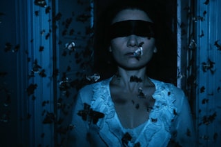 THE DUKE OF BURGUNDY (Peter Strickland, 2014)