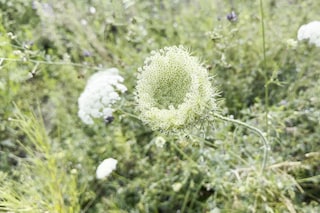 Wolfgang Tillmans, Keep Movin’, exhibition, London 2026