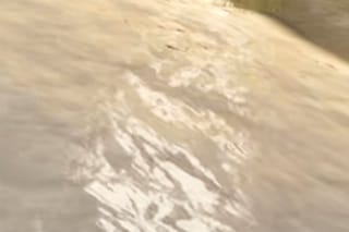 Linn Phyllis Seeger, true idle (2026)